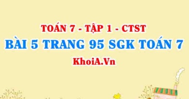 Bài 5 trang 95 SGK Toán 7 tập 1 Chân trời sáng tạo
